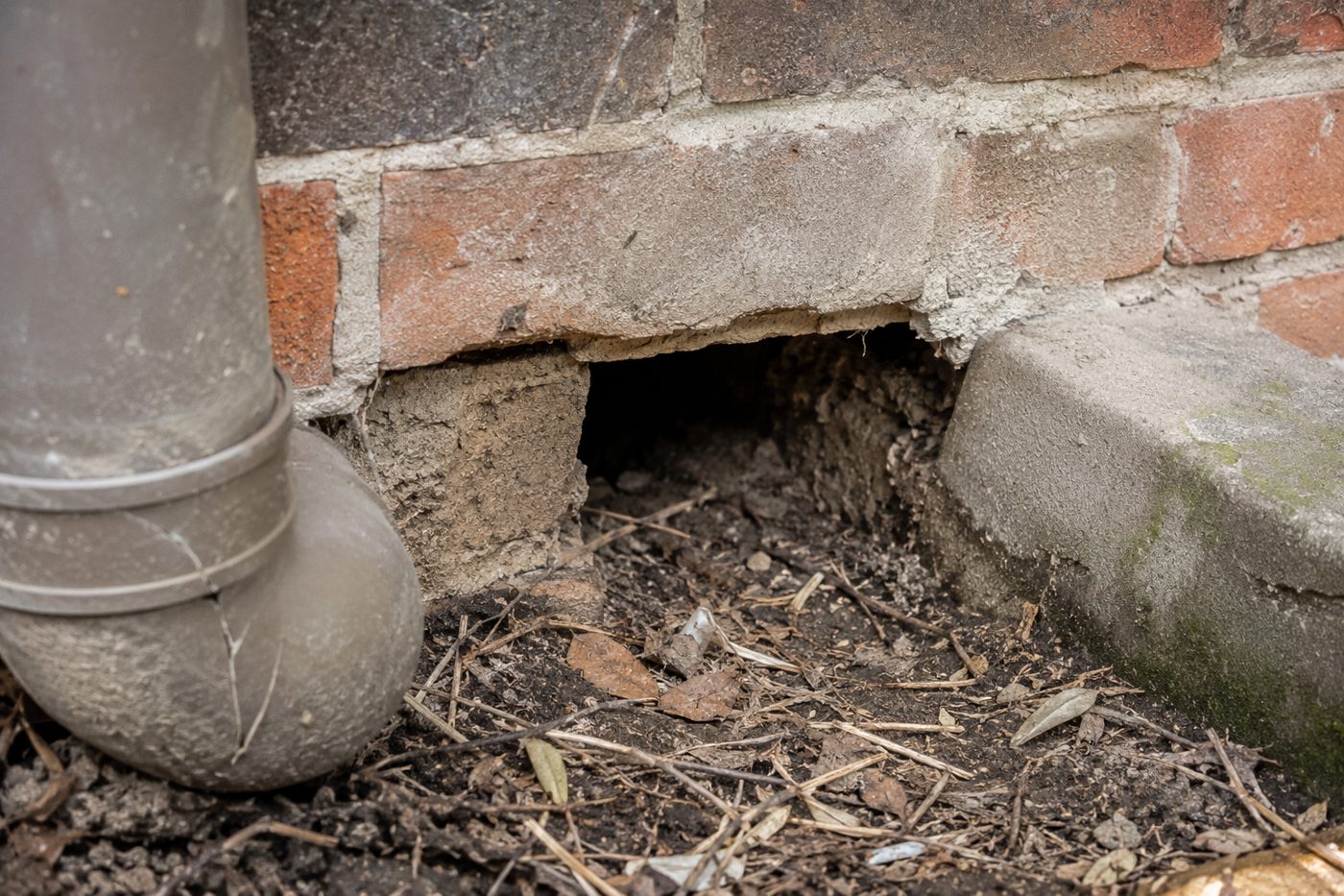 Gap beside an external wall and pipe where rodents enter a garage