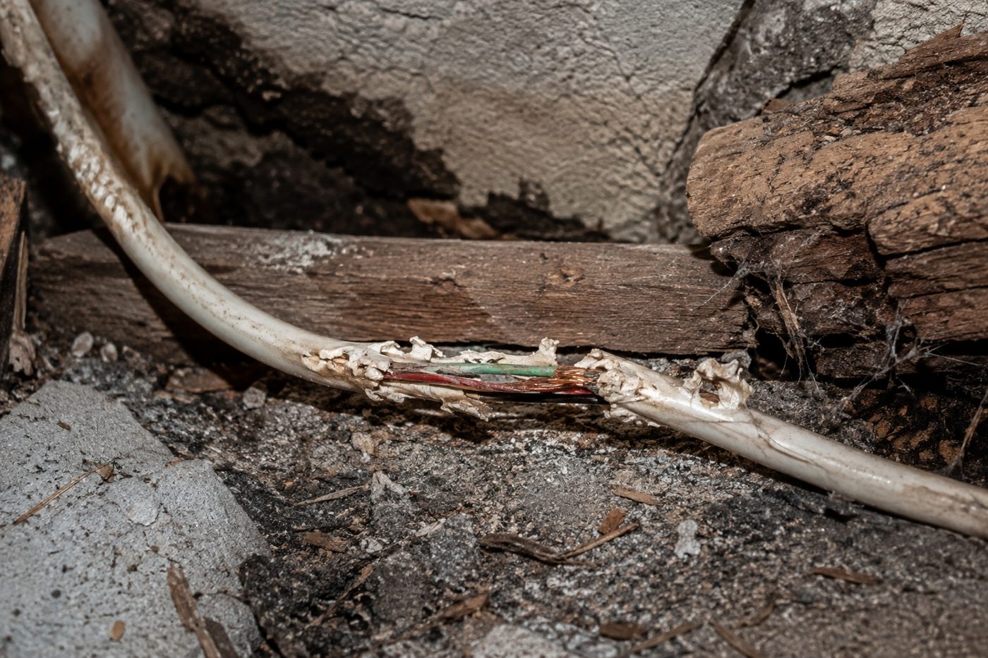 Electrical cable with insulation chewed away by rodents