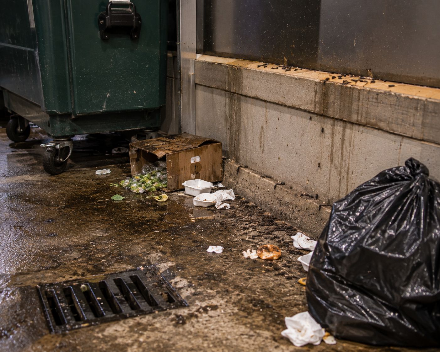 A commercial bin area with a dumpster, discarded packaging and rodent droppings along the wall base